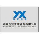西安鈺翔企業管理咨詢有限責任公司 專業驅動，賦能企業卓越成長